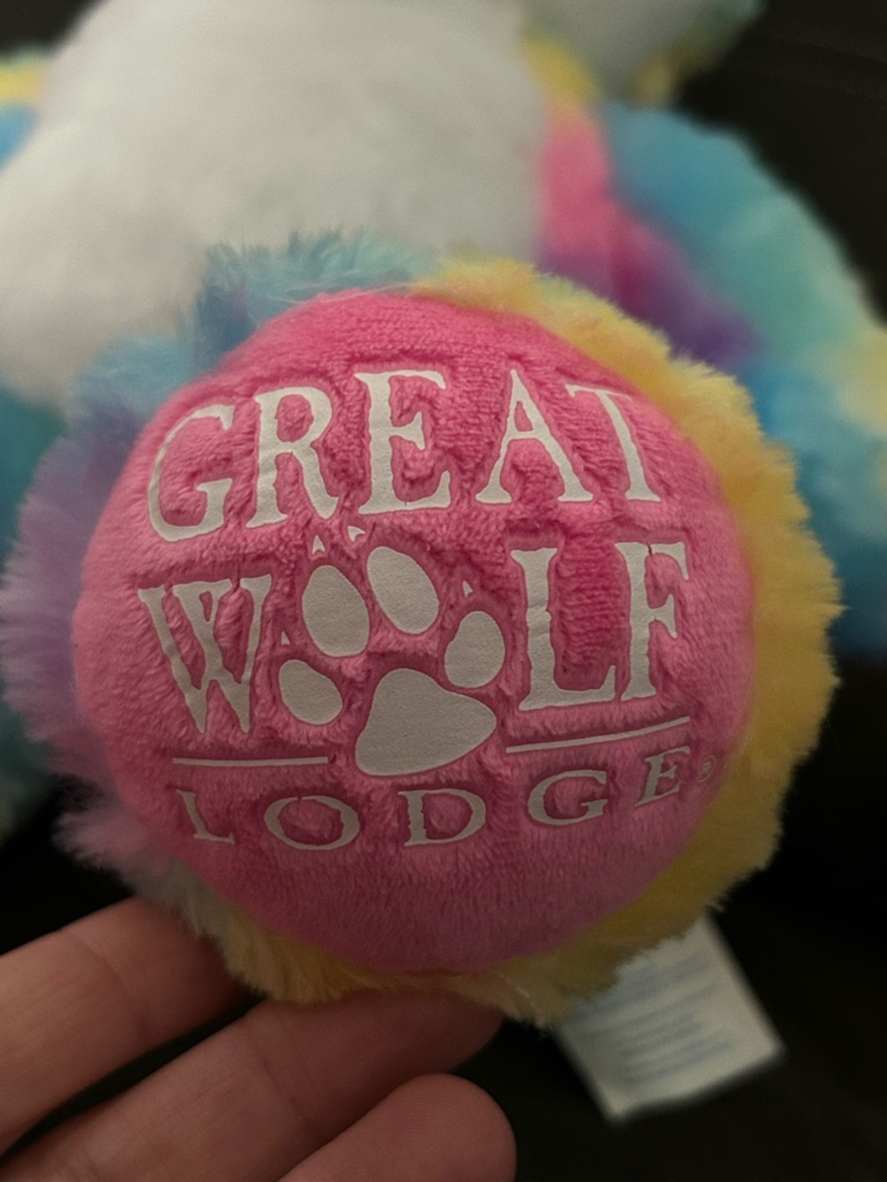 Build-A-Bear Wolf - Picture 5 of 5